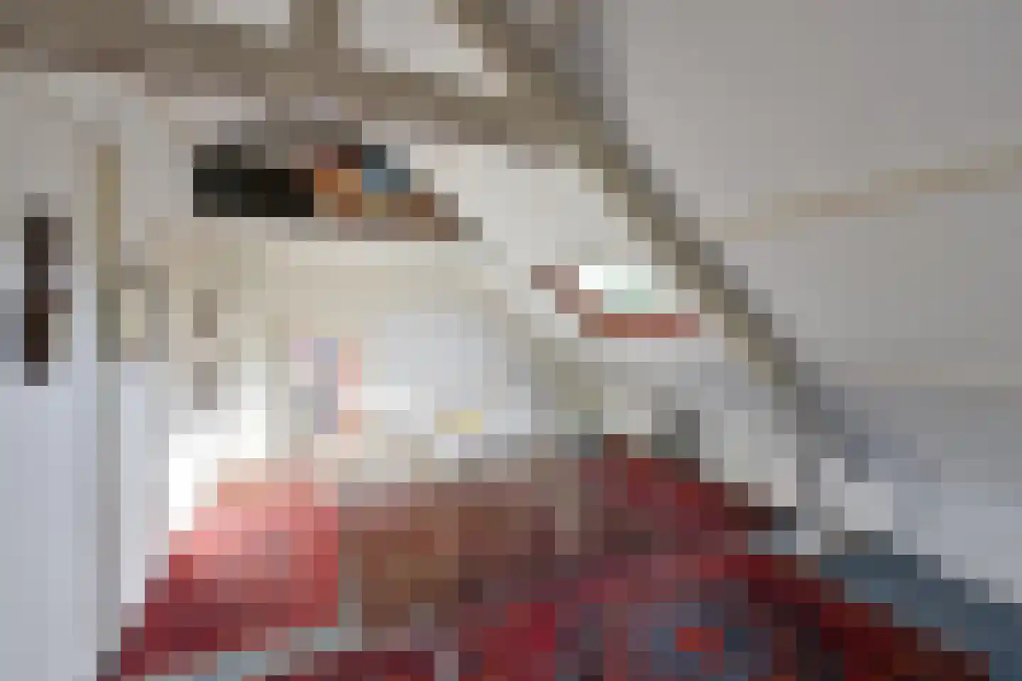 Moerbeilaan 70 Hilversum thumbnail 18