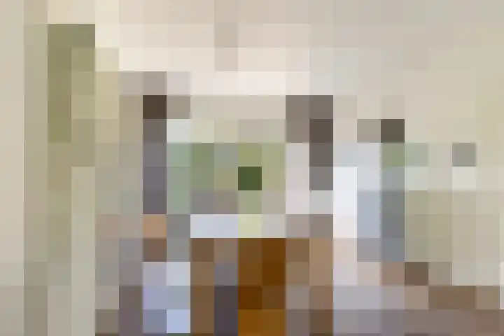 Moerbeilaan 82 Hilversum thumbnail 10