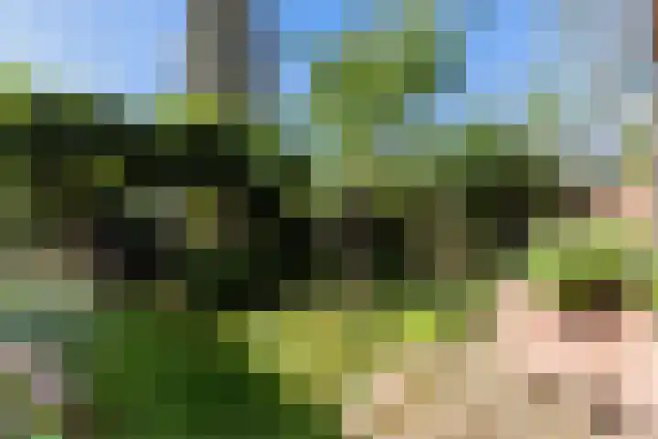 Moerbeilaan 82 Hilversum thumbnail 12