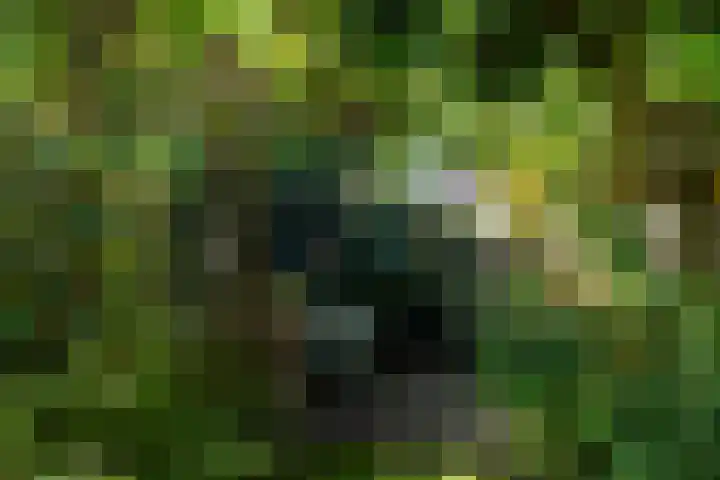Moerbeilaan 82 Hilversum thumbnail 13