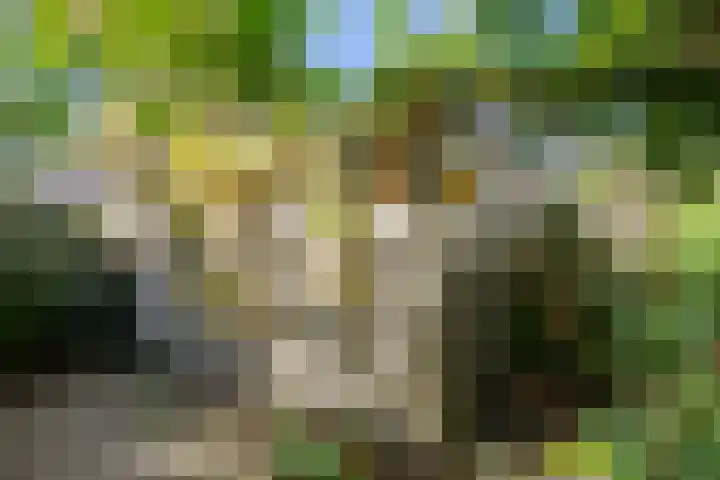 Moerbeilaan 82 Hilversum thumbnail 14