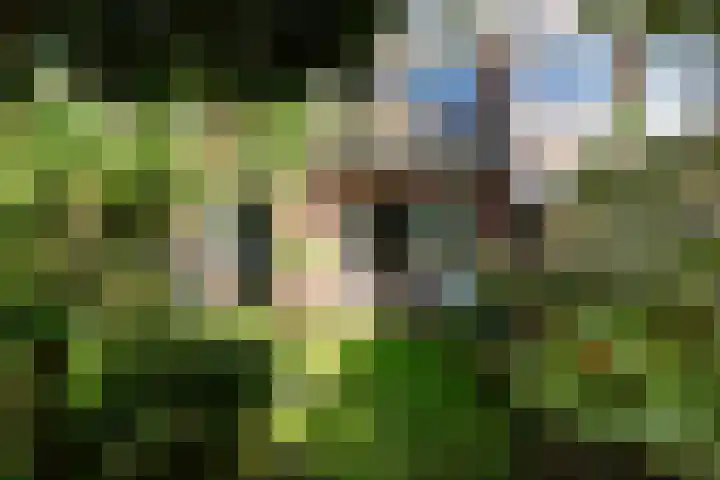 Moerbeilaan 82 Hilversum thumbnail 15