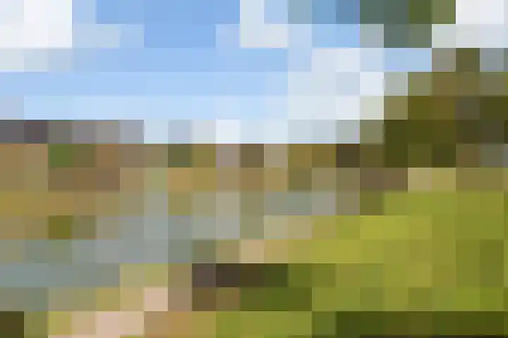 Moerbeilaan 82 Hilversum thumbnail 25