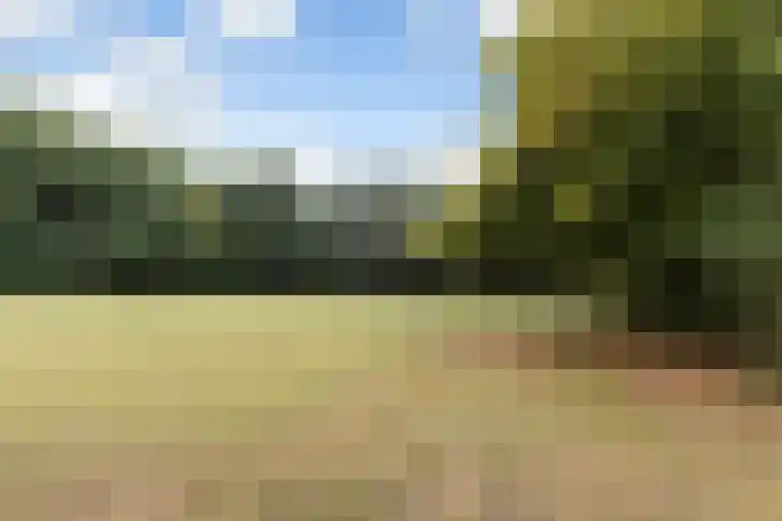 Moerbeilaan 82 Hilversum thumbnail 26