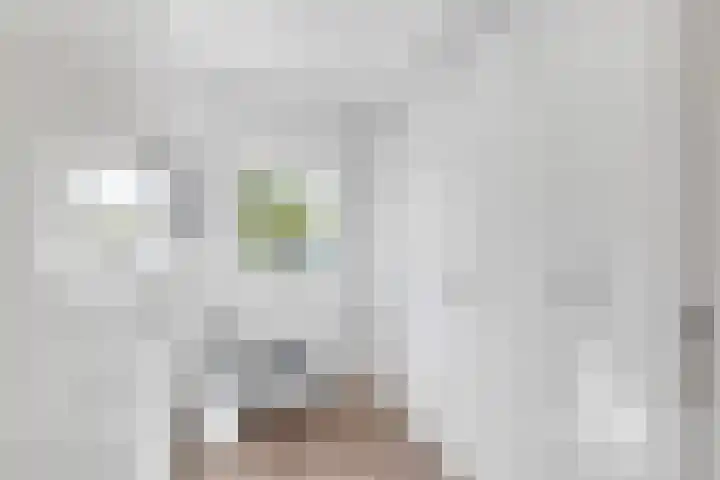 Moerbeilaan 84 Hilversum thumbnail 16