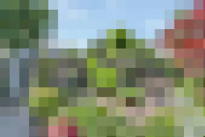 Moerbeilaan 84 Hilversum thumbnail 28