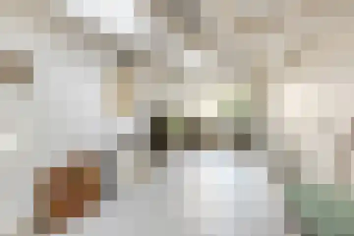 Moerbeilaan 84 Hilversum thumbnail 29