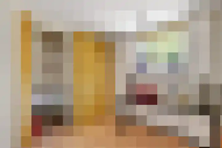 Moerbeilaan 84 Hilversum thumbnail 31