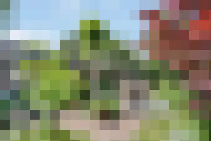Moerbeilaan 84 Hilversum thumbnail 36