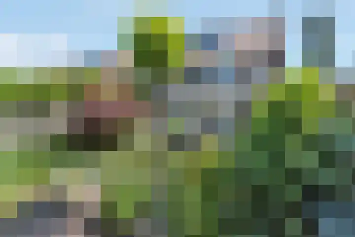Moerbeilaan 84 Hilversum thumbnail 38