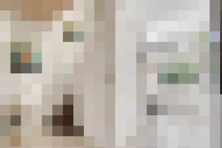 Moerbeilaan 84 Hilversum thumbnail 4