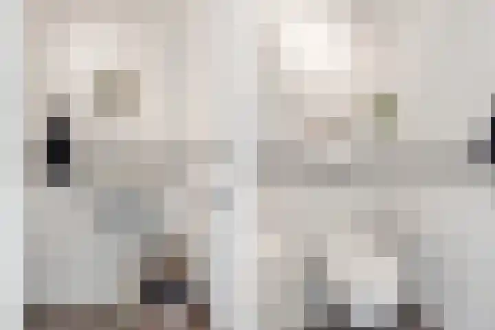 Moerbeilaan 84 Hilversum thumbnail 5