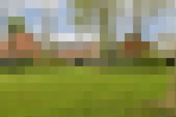 Moerbeistraat 14 Gouda thumbnail 31