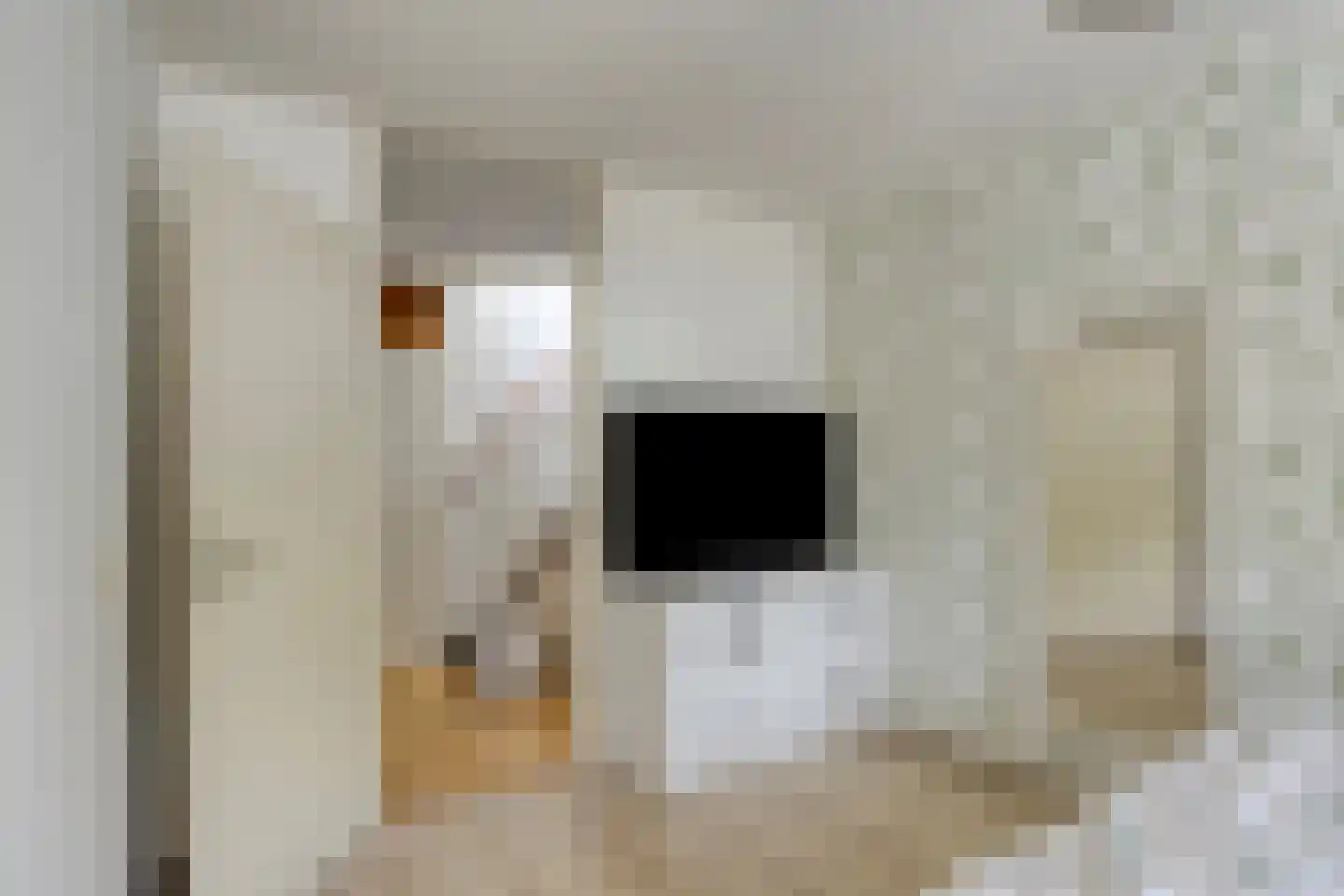 Moerbeistraat 23 Leiden thumbnail 14