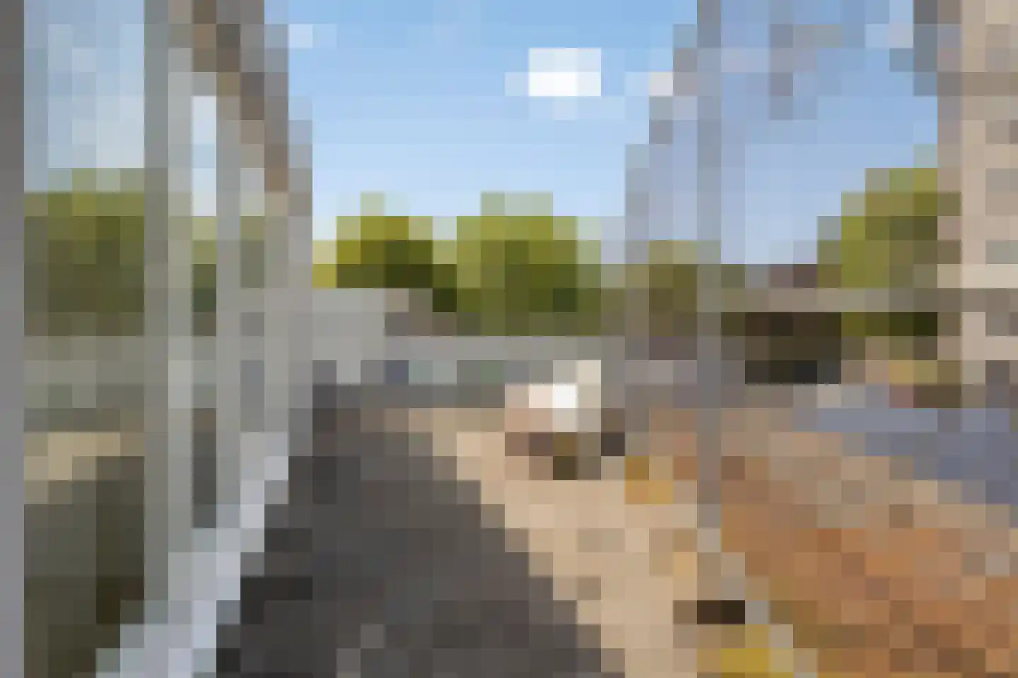 Moerbeistraat 23 Leiden thumbnail 21