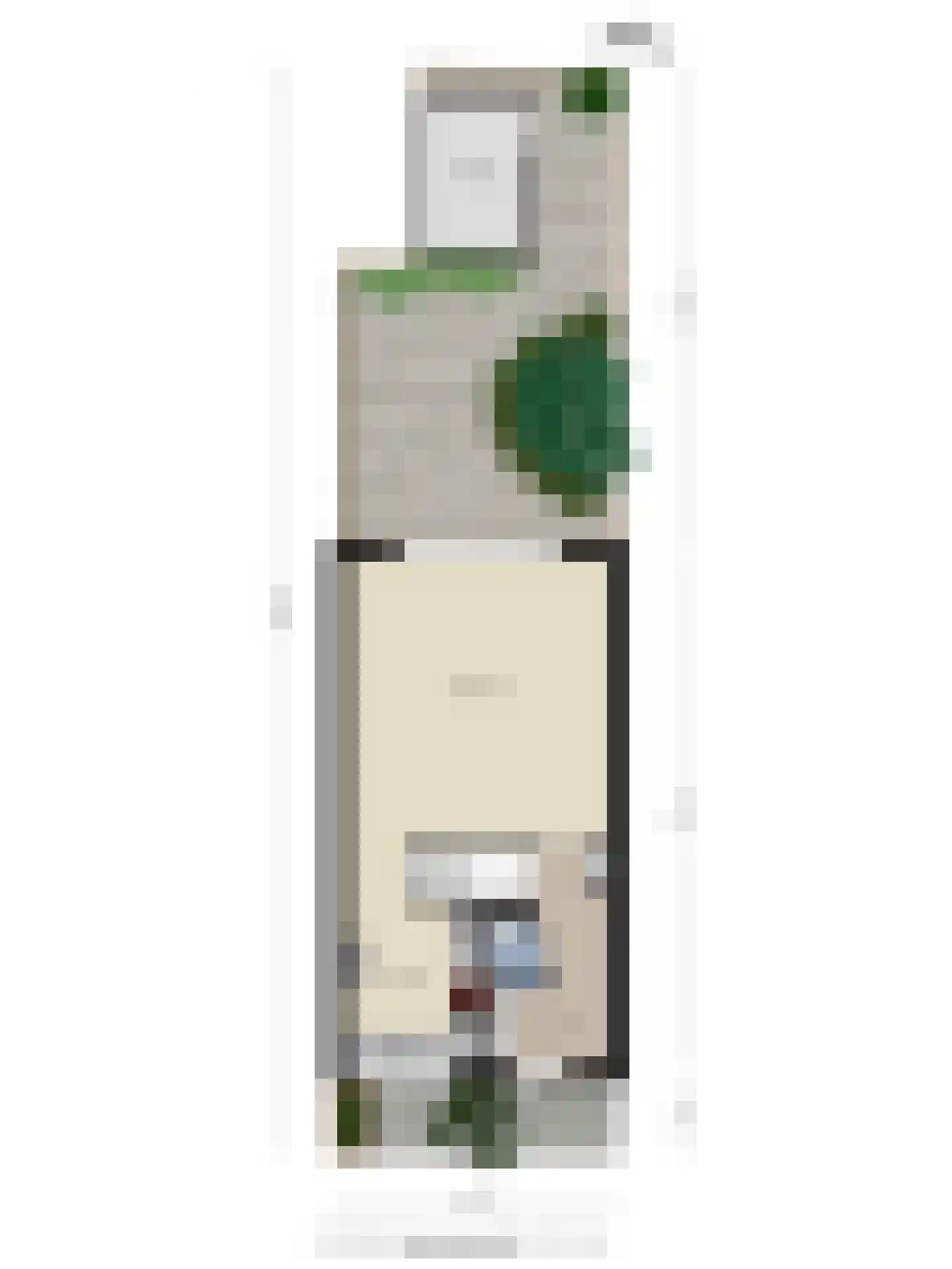 Moerbeistraat 23 Leiden thumbnail 32