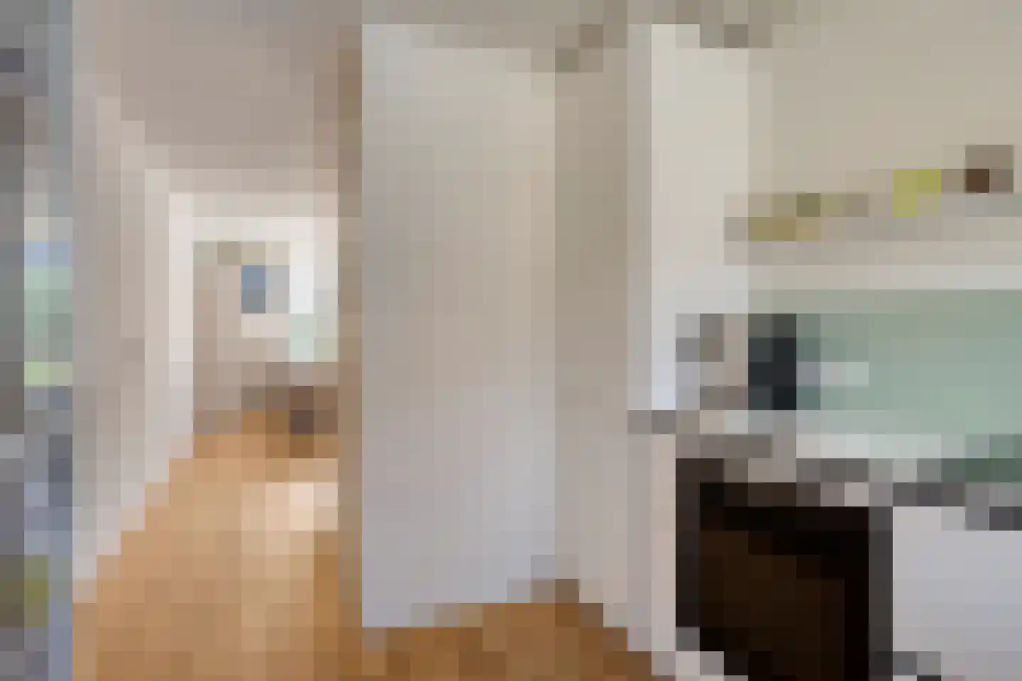 Moerbeistraat 23 Leiden thumbnail 7