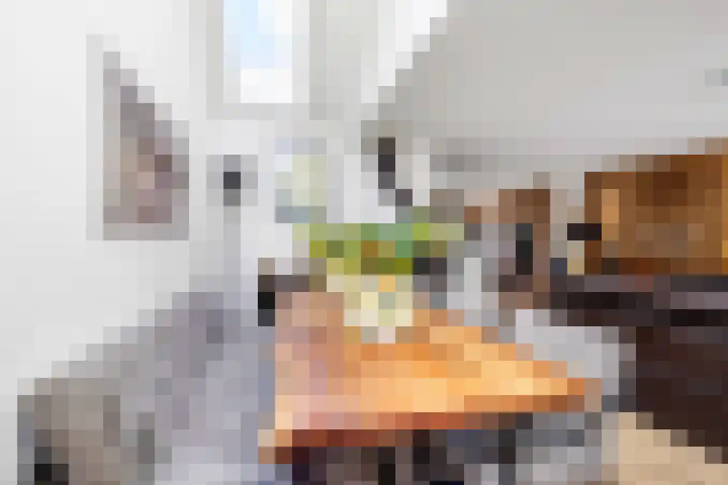 Moerbeistraat 25 Rockanje thumbnail 13