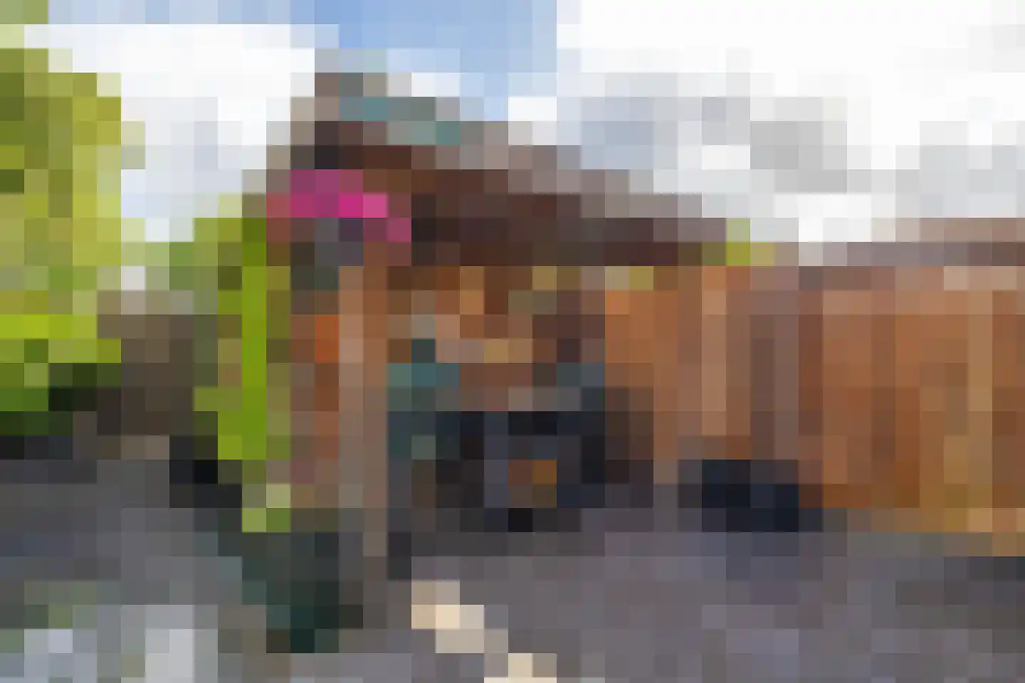 Moerbeistraat 25 Rockanje thumbnail 28