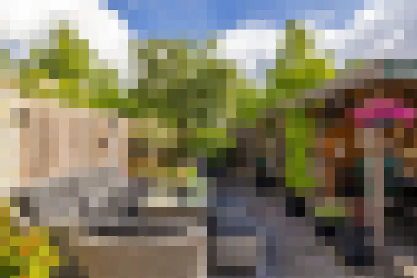 Moerbeistraat 25 Rockanje thumbnail 30