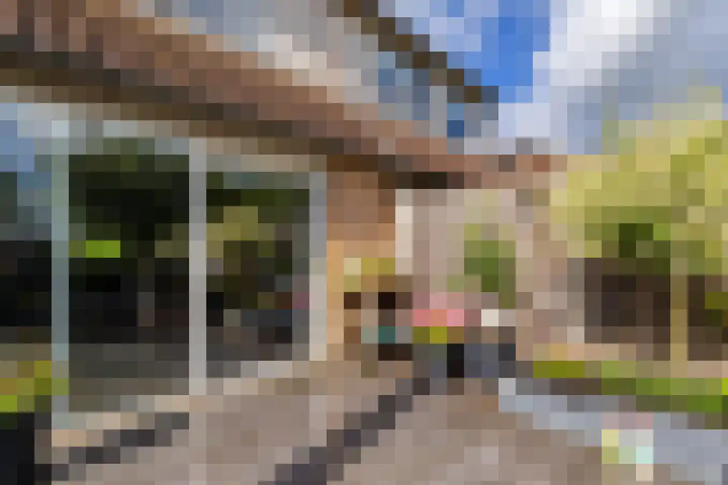 Moerbeistraat 25 Rockanje thumbnail 33