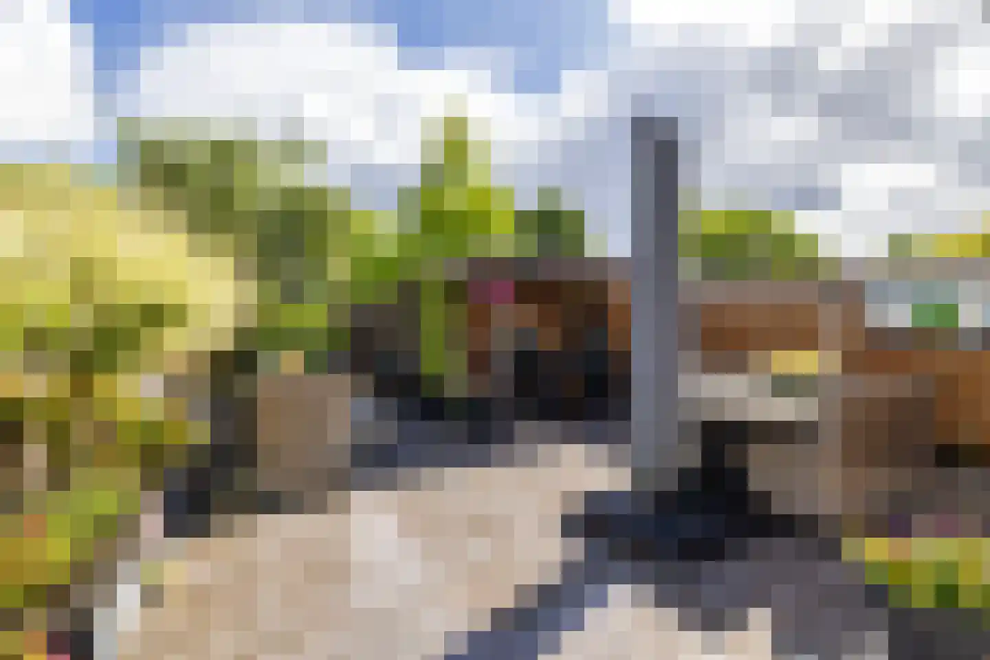 Moerbeistraat 25 Rockanje thumbnail 5