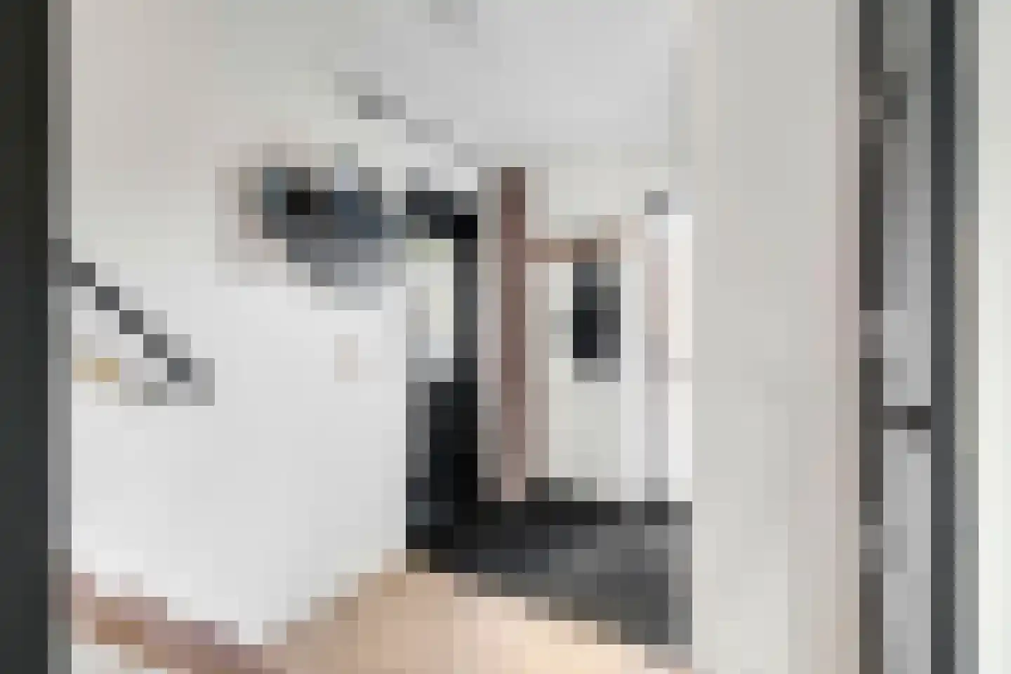 Moerbeistraat 25 Rockanje thumbnail 9