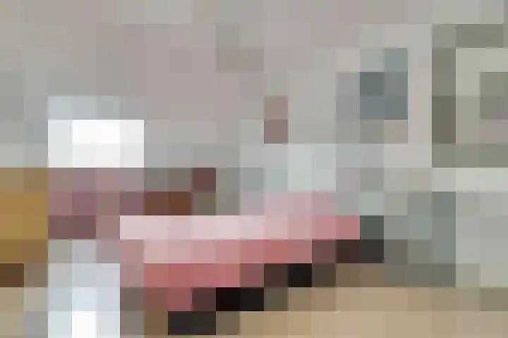 Moerbeistraat 26 Rockanje thumbnail 15