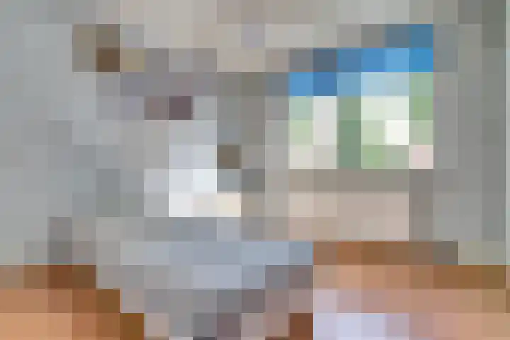 Moerbeistraat 26 Rockanje thumbnail 17