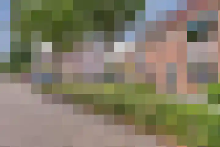Moerbeistraat 26 Rockanje thumbnail 28