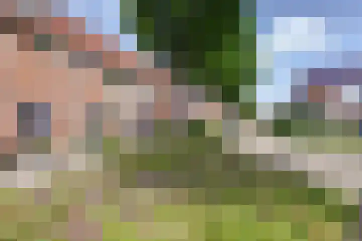 Moerbeistraat 26 Rockanje thumbnail 29