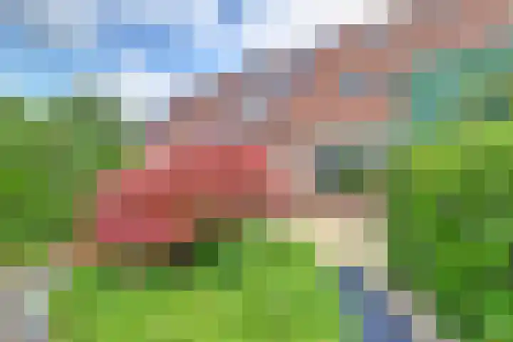 Moerbeistraat 26 Rockanje thumbnail 30