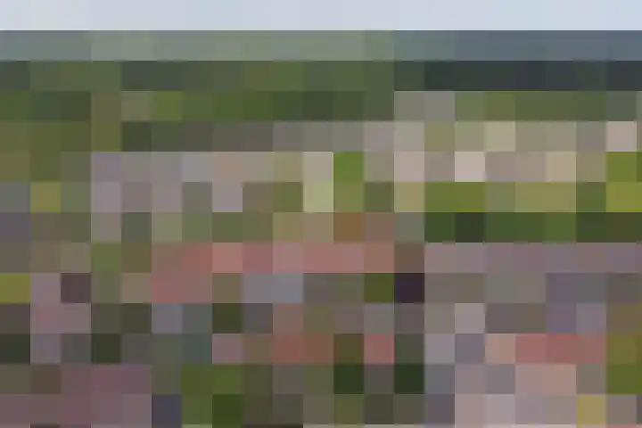 Moerbeistraat 26 Rockanje thumbnail 33