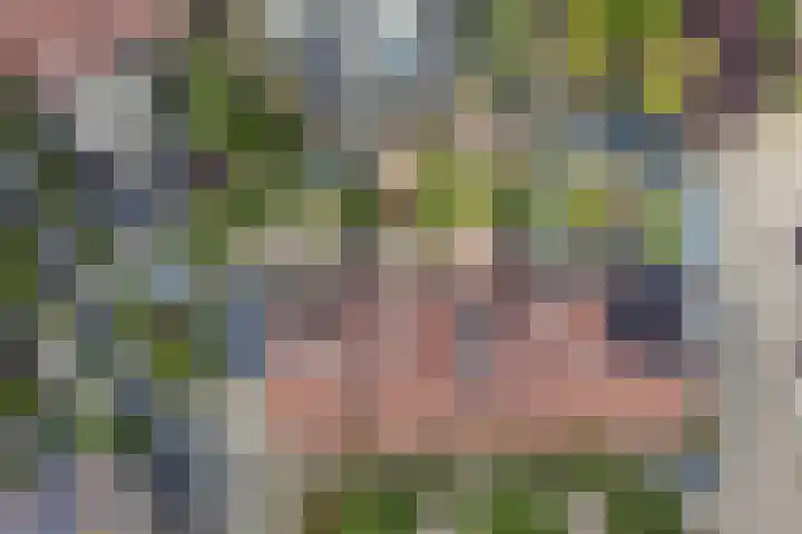 Moerbeistraat 26 Rockanje thumbnail 35