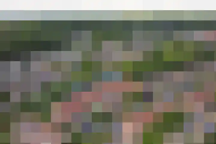 Moerbeistraat 26 Rockanje thumbnail 5