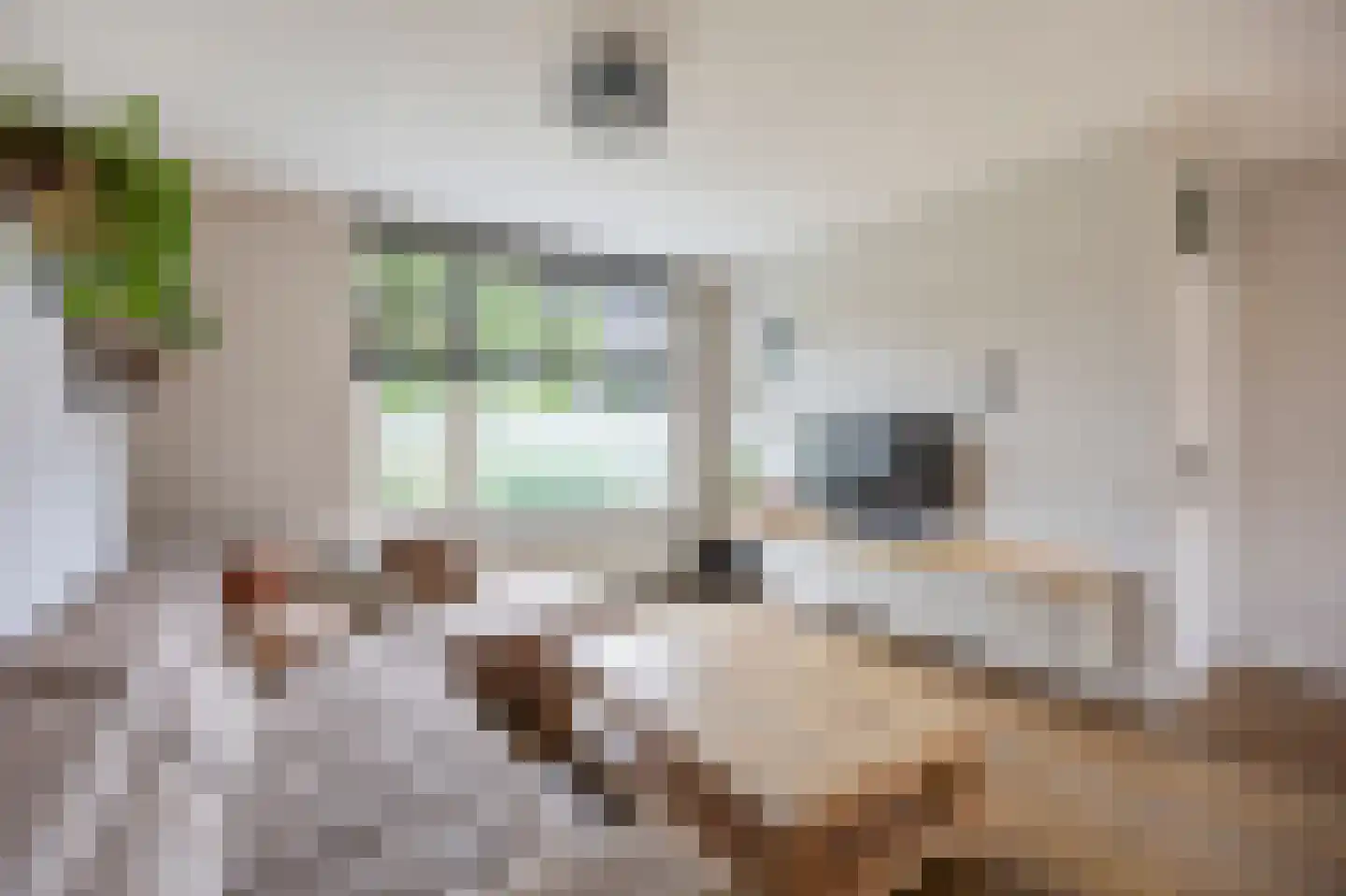 Moerbeistraat 3 Echt thumbnail 12