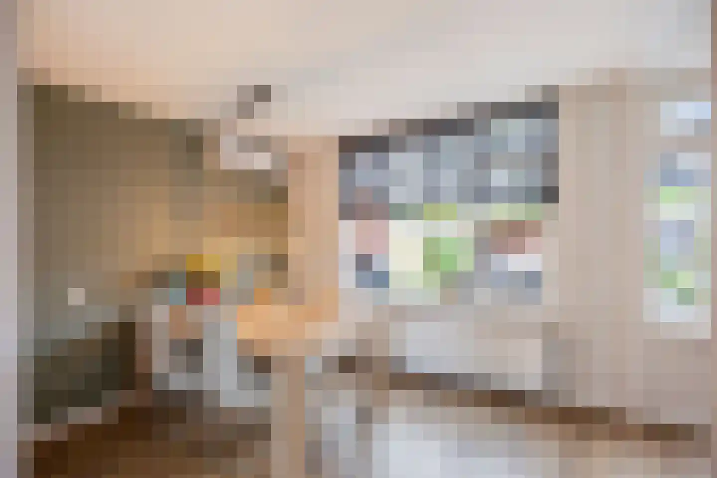 Moerbeistraat 3 Echt thumbnail 15
