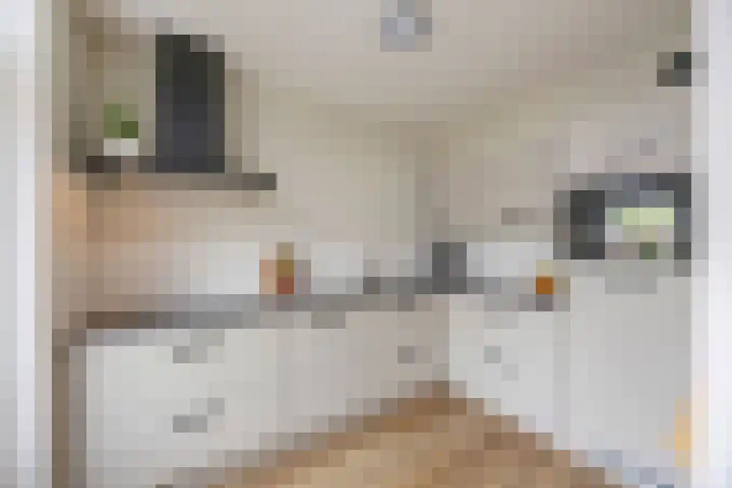 Moerbeistraat 3 Echt thumbnail 19