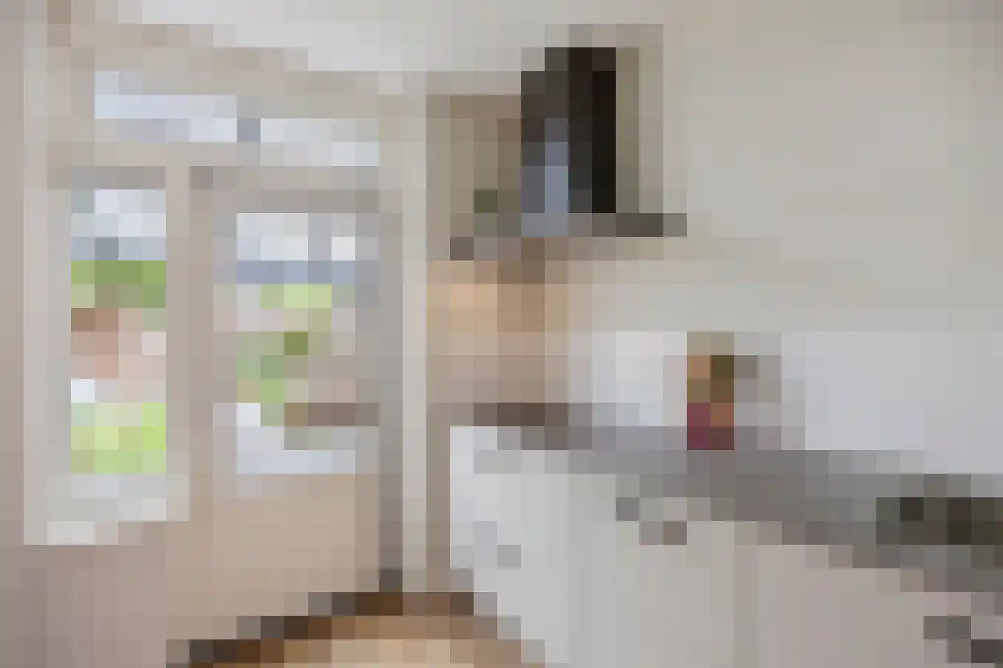 Moerbeistraat 3 Echt thumbnail 22