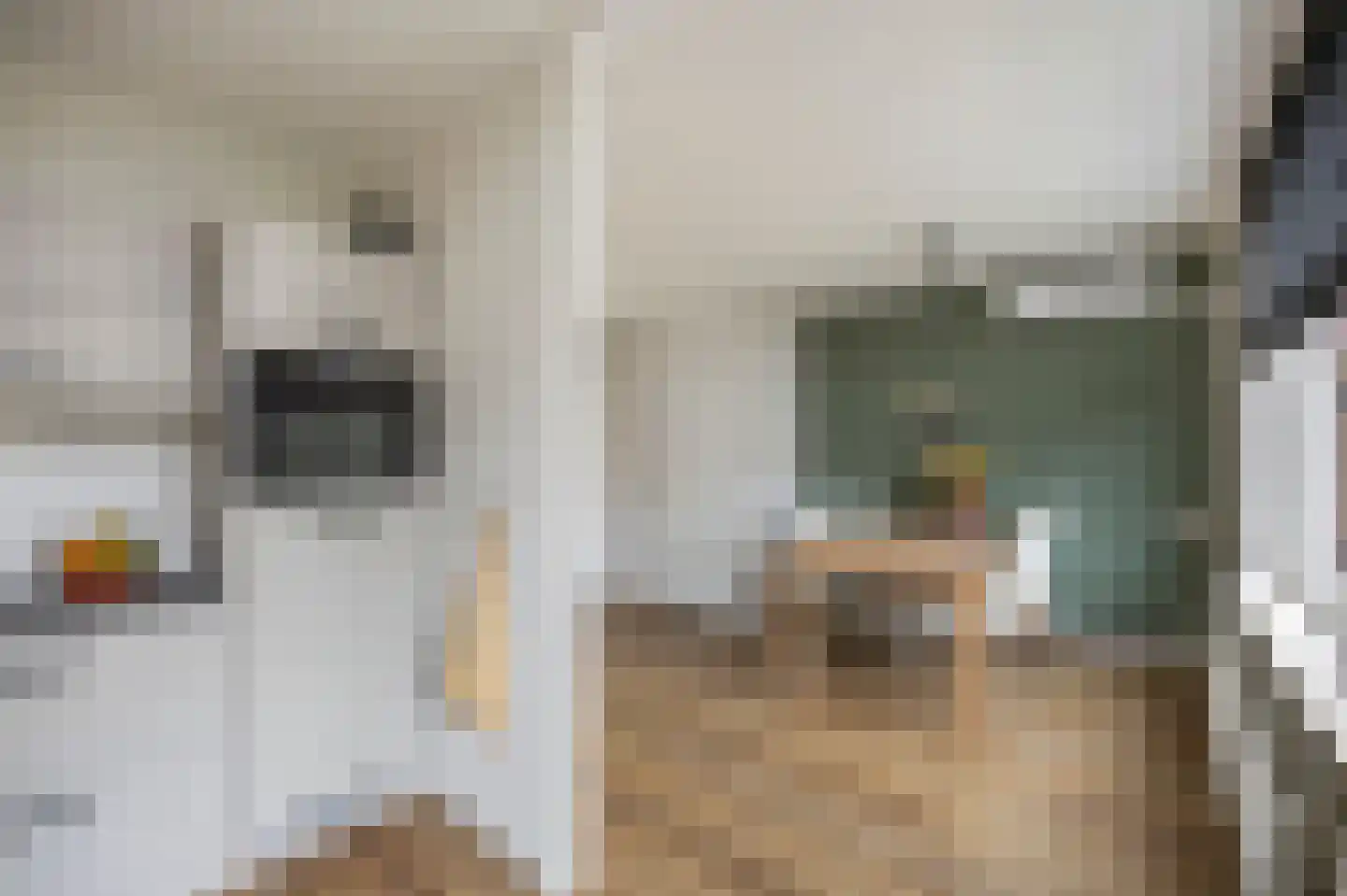 Moerbeistraat 3 Echt thumbnail 23