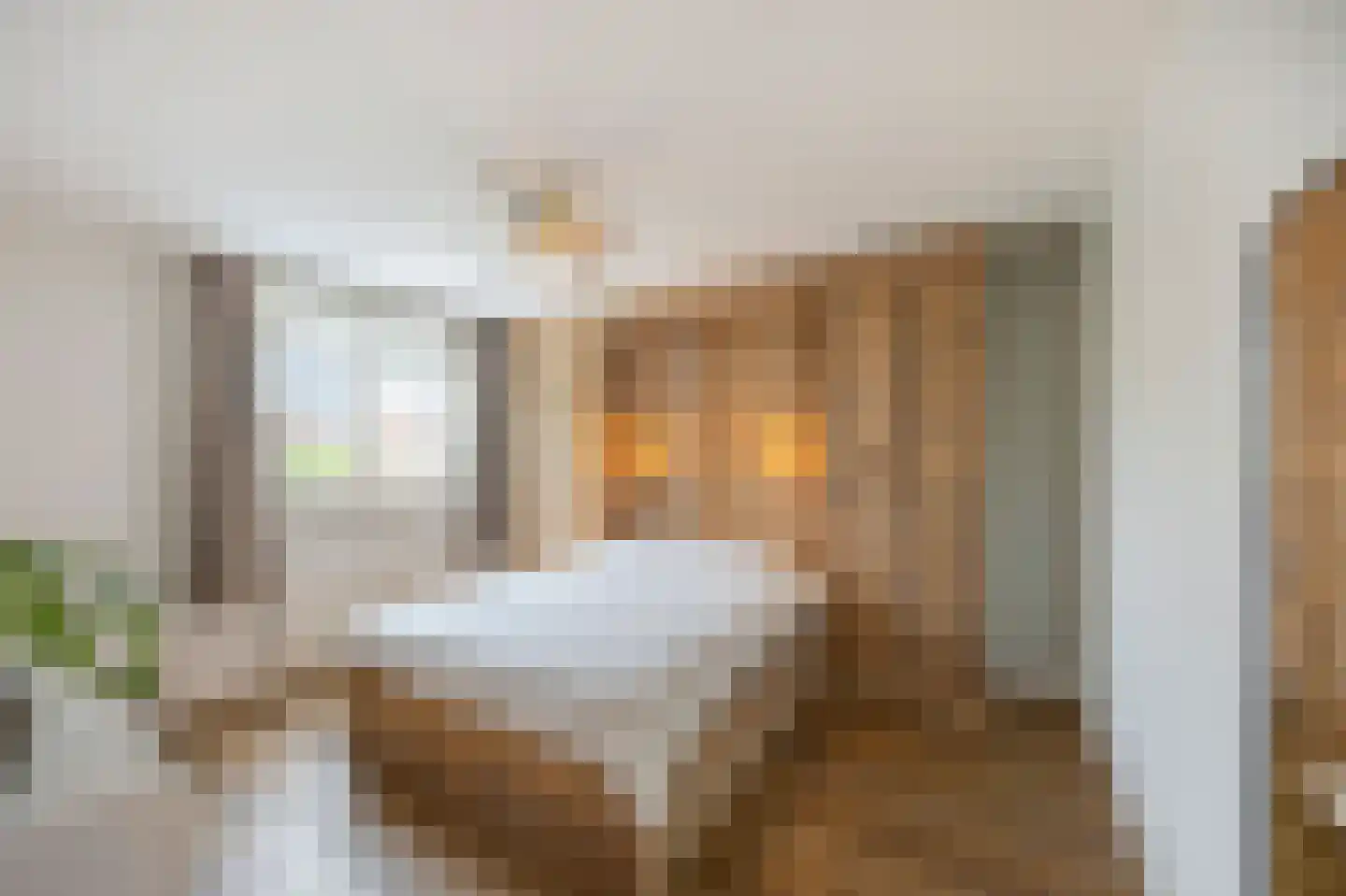 Moerbeistraat 3 Echt thumbnail 25