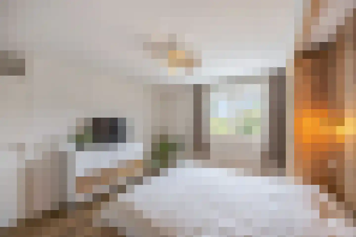 Moerbeistraat 3 Echt thumbnail 27