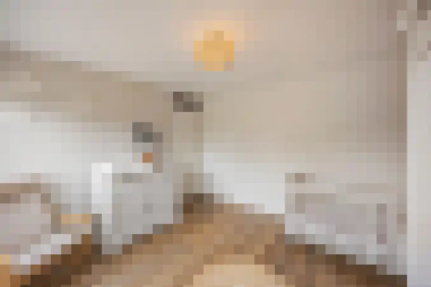 Moerbeistraat 3 Echt thumbnail 29
