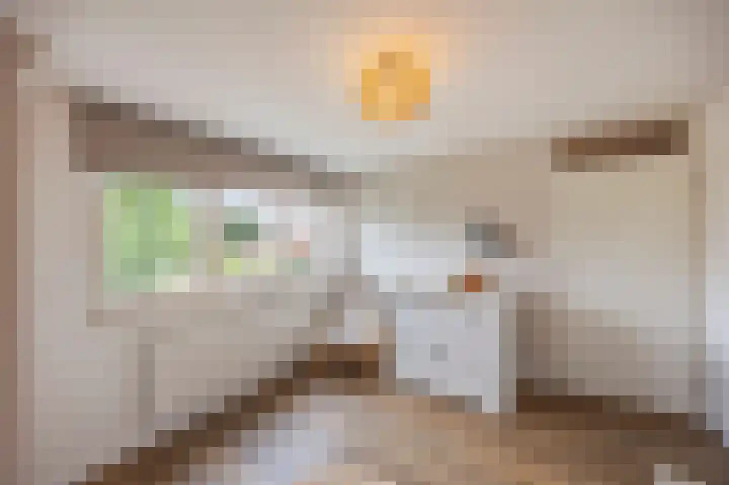 Moerbeistraat 3 Echt thumbnail 30