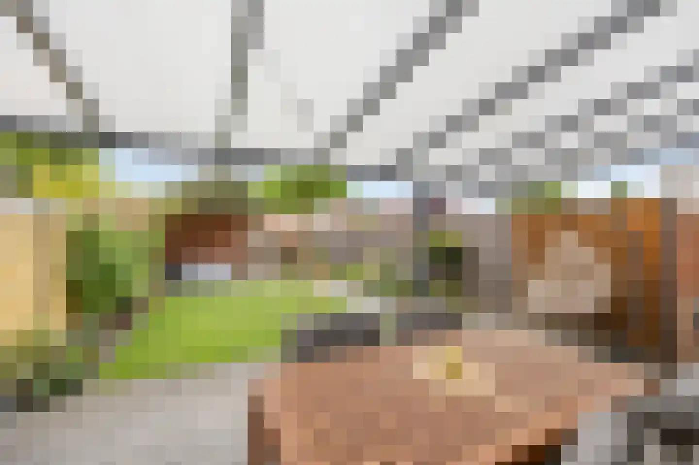 Moerbeistraat 3 Echt thumbnail 4