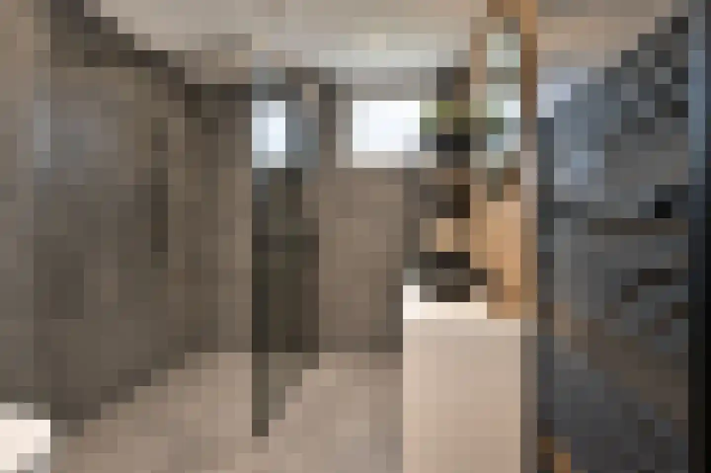 Moerbeistraat 35 Gouda thumbnail 4
