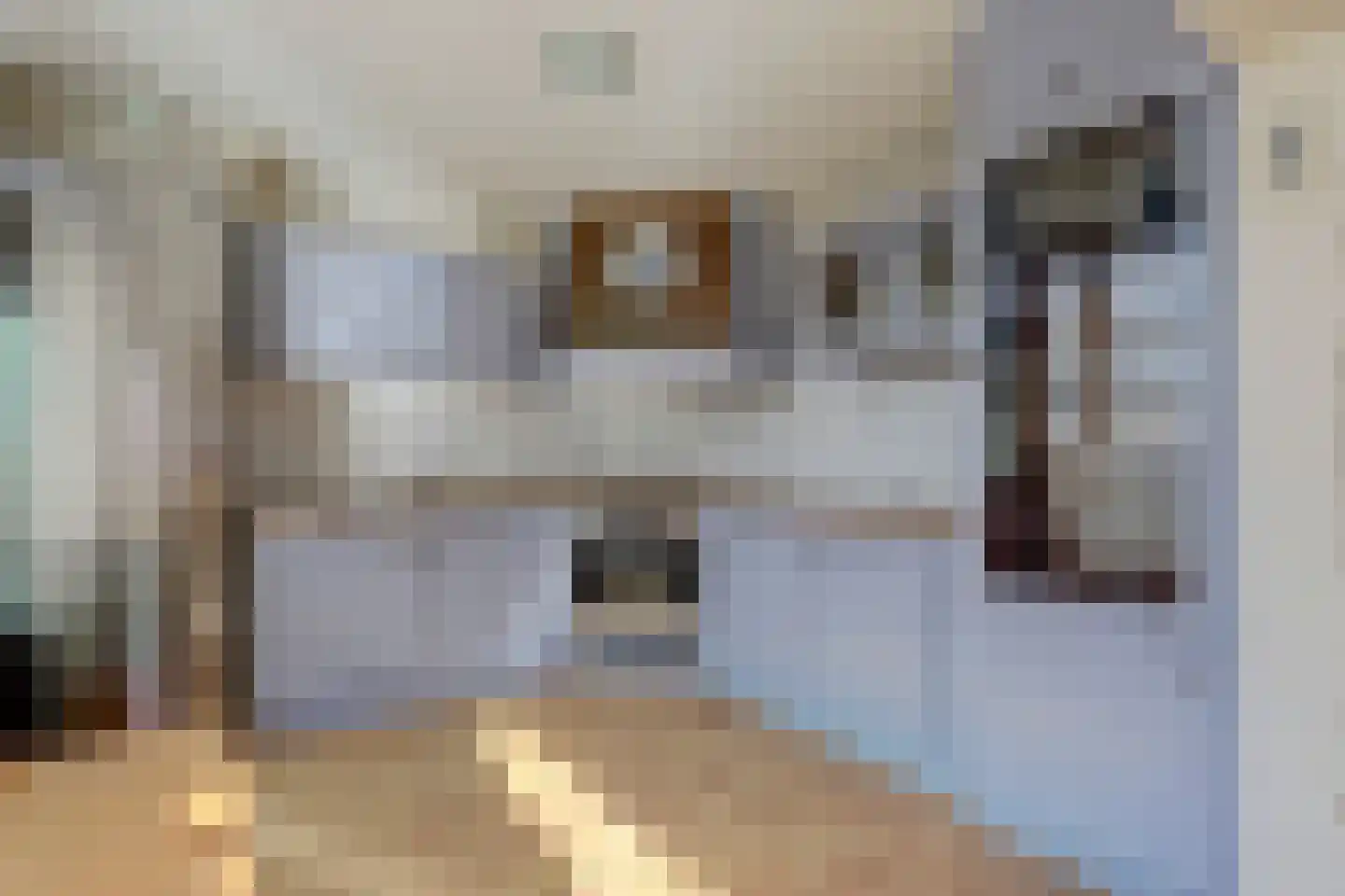Moerbeistraat 5 Spijkenisse thumbnail 13
