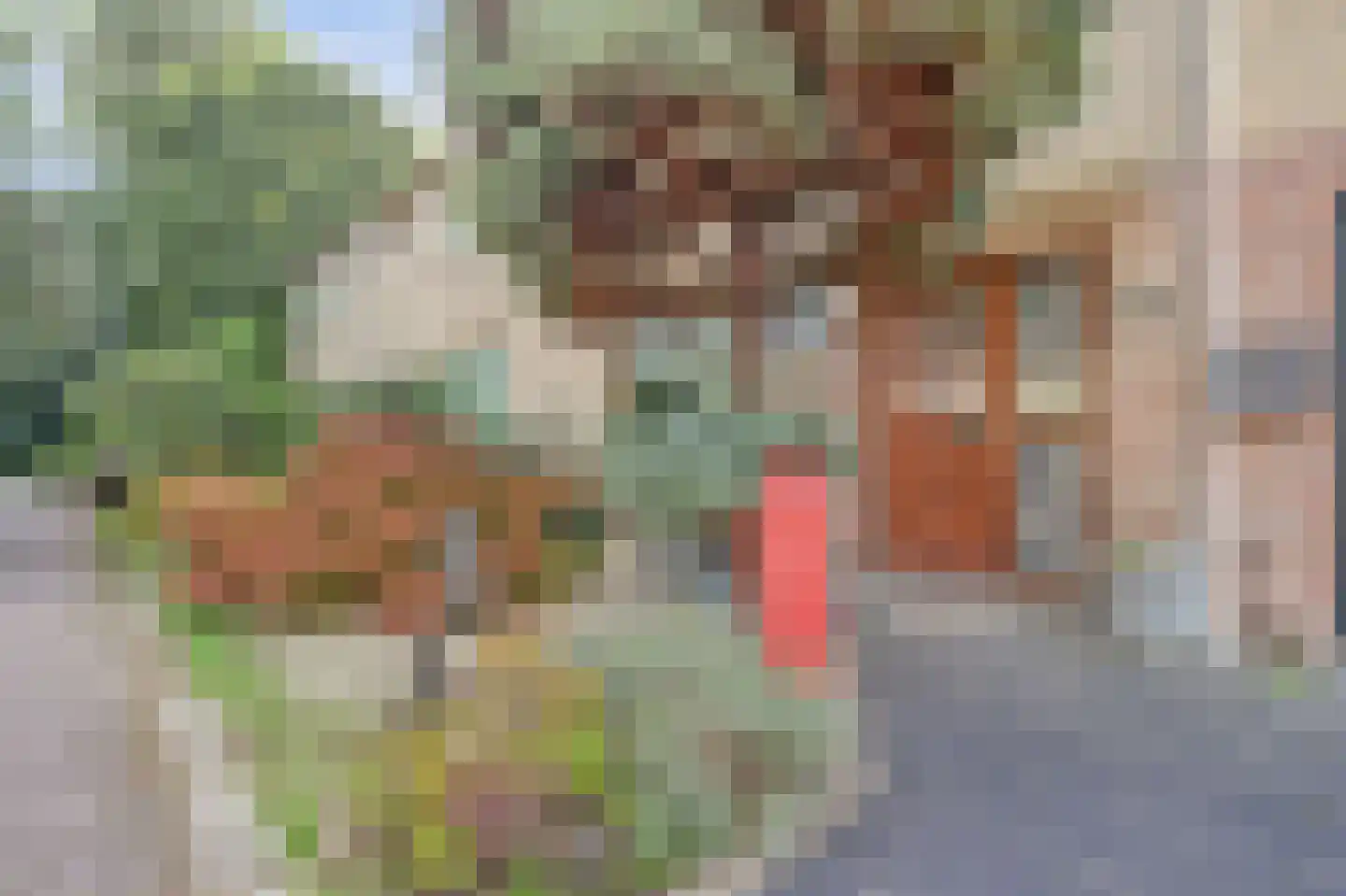 Moerbeistraat 5 Spijkenisse thumbnail 4