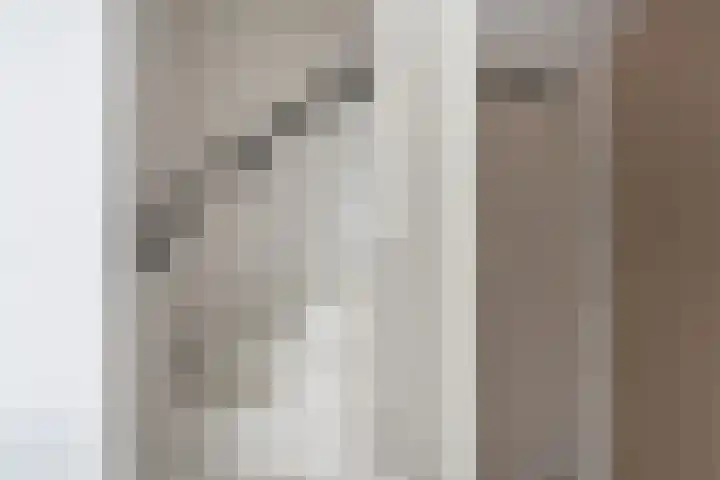 Moerbeistraat 7 Spijkenisse thumbnail 16