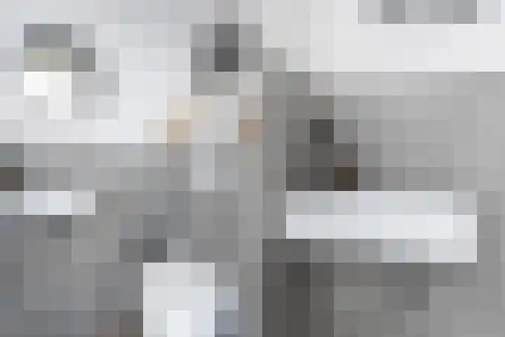 Moerbeistraat 7 Spijkenisse thumbnail 18